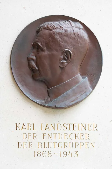 Denkmal für Karl Landsteiner (1868–1943) im Arkadenhof der Universität Wien, gestaltet von Arnold Hartig, enthüllt 1961