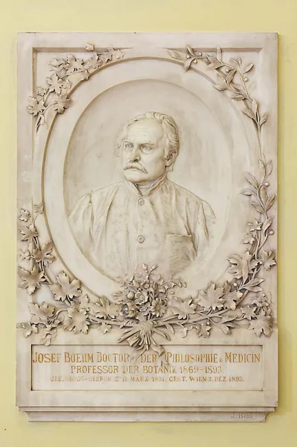 Denkmal für Josef Böhm (1833–1893) im Arkadenhof der Universität Wien, gestaltet von Johannes Benk, enthüllt 1895