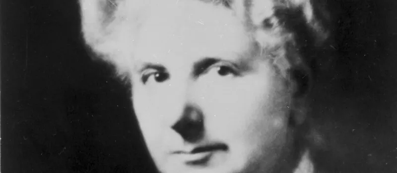 Elise Richter (1865–1943), Romanistik