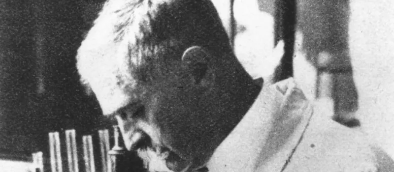 Karl Landsteiner (1868–1943), Immunologie, Pathologische Anatomie, Nobelpreis 1930