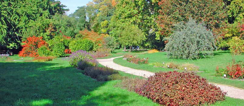 Botanischer Garten
